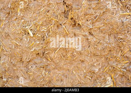 Weathered mud wall texture background Stock Photo