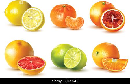 Realistic citrus fruits set with lemon lime orange grapefruit tangerine isolated on white background vector illustration Stock Vector