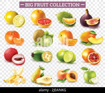 Realistic set of various kinds of fruits with orange kiwi pear lemon lime apple isolated on transparent background vector illustration Stock Vector