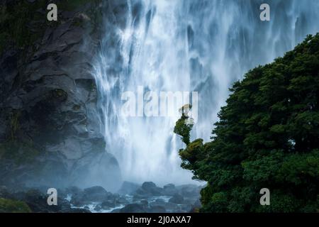 Lady Bowen Falls in Milford Sound with Southern Rata forest in foreground, South Island. Stock Photo