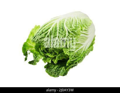 Napa cabbage or chinese cabbage isolated on white background, Save clipping path. Stock Photo