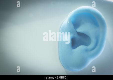 Plastic blue human ear model Stock Photo