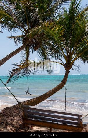 Wooden Bench Swing next to a palm tree in front of the caribbean white sand beach ocean on little corn island Stock Photo