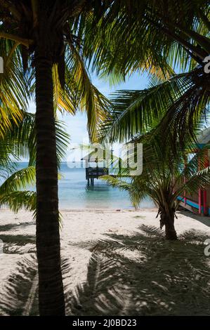 Small Wooden Hut on stilts in the sea at white sand beach hiding behind palm trees Stock Photo