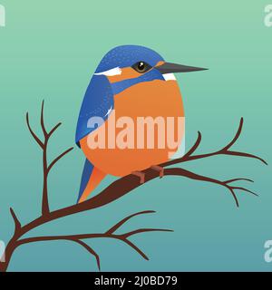 A very cute kingfisher bird in the shape of an egg. Blue green gradient background. The bird sits on a branch. Stock Vector