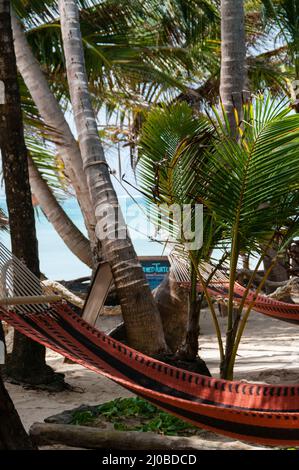 Closeup of Hammock chillout relax Tied to Coconut Trees at the beach on Corn Island Bar Stock Photo