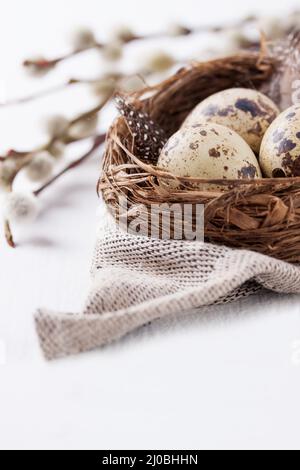 Quail eggs in a nest with feathers on a bright background for Easter Stock Photo