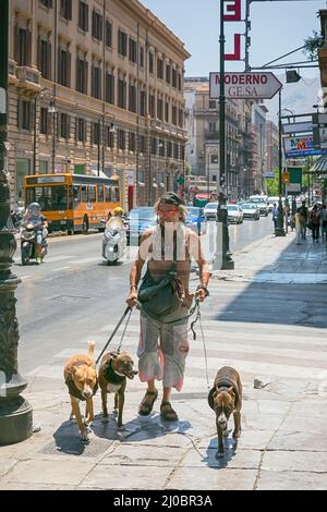A man walking along a busy street in Palermo leading three dogs Stock Photo