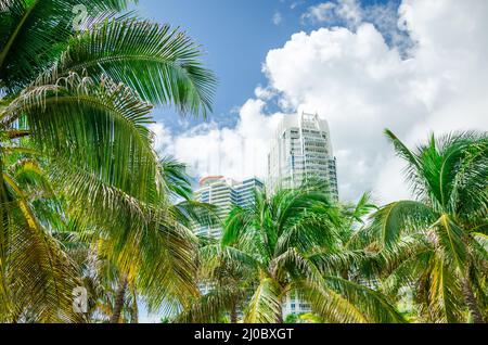 Miami, USA - September 23, 2012: Miami South Beach with condom skyscrapers in Florida Stock Photo