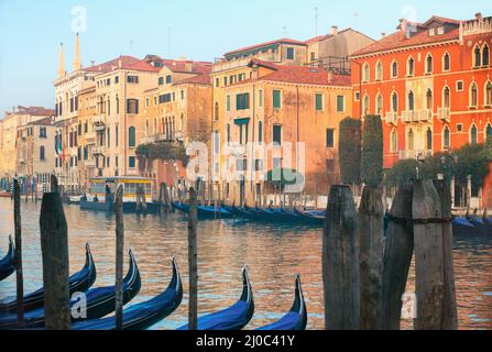 Gondolas parked in Grande Canal on a fine spring day, Venice, Italy Stock Photo