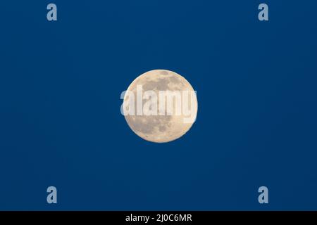 Yellow super moon glowing against dark blue evening sky, moody background Stock Photo