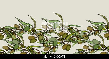 Olives hand drawn vector seamless border, endless background with olive fruits, branches, and leaves, hand drawn sketch style vector illustration isol Stock Vector