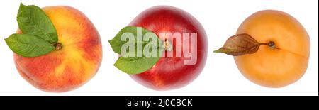 Peach nectarine apricot fruits from above exempted isolated Stock Photo