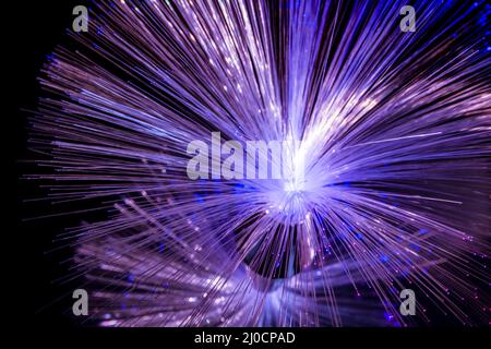 Illuminated optical fibers closeup in dark back Stock Photo