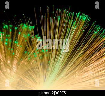 Illuminated optical fibers closeup in dark, back Stock Photo