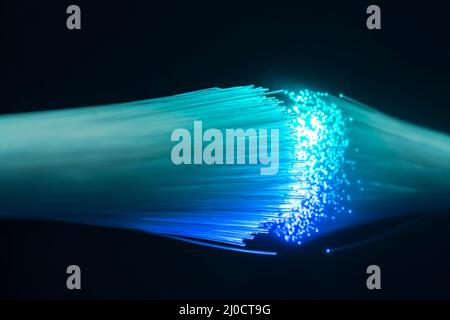 Illuminated optical fibers closeup in black back Stock Photo