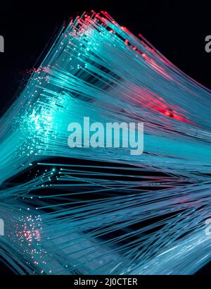 Illuminated optical fibers closeup in dark back Stock Photo