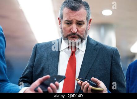 UNITED STATES - MARCH 16: Sen. Ted Cruz, R-Texas, is seen in the U.S. Capitol on Wednesday, March 16, 2022. (Tom Williams/CQ Roll Call/Sipa USA)