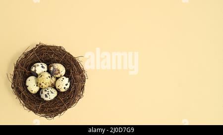 Bird nest with quail eggs on pastel beige background. Easter natural flat lay concept. Creative copy space Stock Photo
