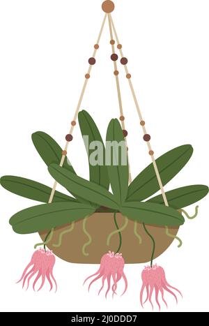 House plants in pots, hanging houseplants, indoor home decor. Potted cactus, succulents, urban jungle plant interior decorations vector set. Stands with flowers in scandinavian style Stock Vector