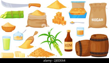 Cartoon brown cane sugar, sugarcane products manufacturing. Sugar cane plant harvest, heap and leaves, rum bottle and barrels vector set. Glasses and snifters with alcohol drink, green plant Stock Vector