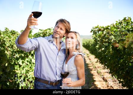 Enjoying a day of wine tasting in the sun. Shot of a couple enjoying wine tasting in a vineyard. Stock Photo