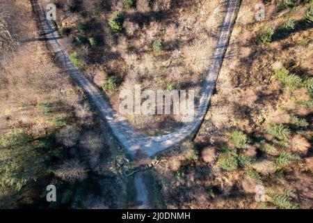 Aerial view of a path or road going through a forest in South Wales Stock Photo