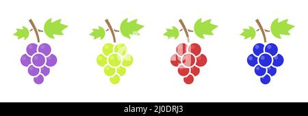 Different grape set. Cute sweet violet, green, red and blue grape branches Stock Vector