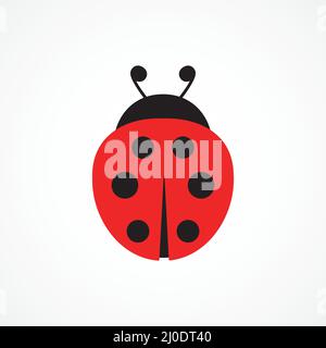 Ladybug cute character. Ladybird insect. Vector isolated on white Stock Vector