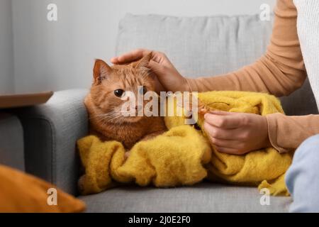 Woman with cute ginger cat in warm plaid and autumn leaf at home Stock Photo