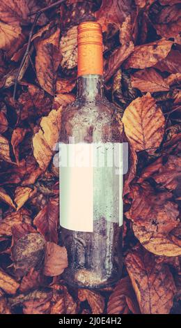 Discarded Wine Bottle Stock Photo