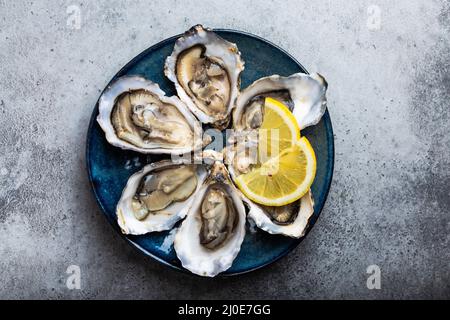 Fresh opened oysters Stock Photo