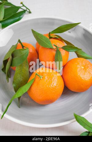 Tangerines with green leaves on white wooden background. Close up Stock Photo