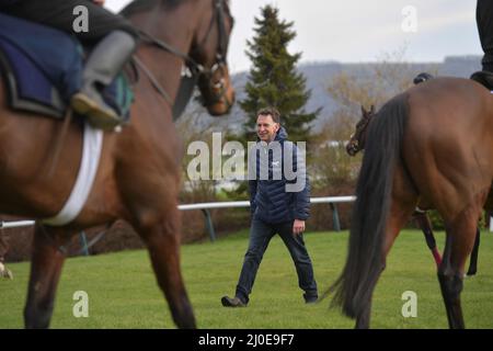 The gallops at Cheltenham Racecourse on the first day of the Cheltenham Festival of racing.   Trainer Henry de Bromhead    Picture by Mikal Ludlow Pho Stock Photo