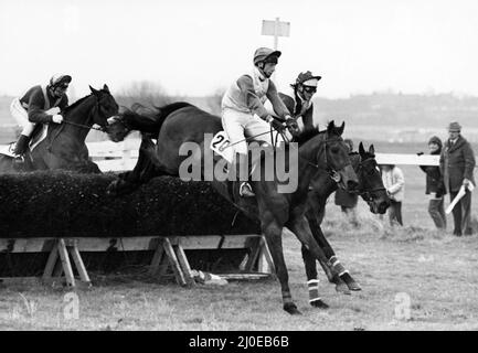 Stockton Racecourse (September 1855 - 16 June 1981), also known as Teesside Park. Smullyan (No 20), the favourite is over in front in the Restricted Open at the Cleveland Point-to-Point at Stockton Racecourse. But the horse didn't make it into the frame, he came a cropper and Great Tarquin from the Zetland went on to score. Circa 1980s. Stock Photo