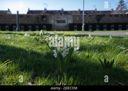 Le Mans, France - February 27, 2022: The west cemetery in Le Mans contains Belgium, French,American, Polish, Commonwealth and German graves.  Sunny wi Stock Photo