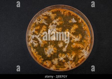 closeup photo of dry agar media in a plate Stock Photo