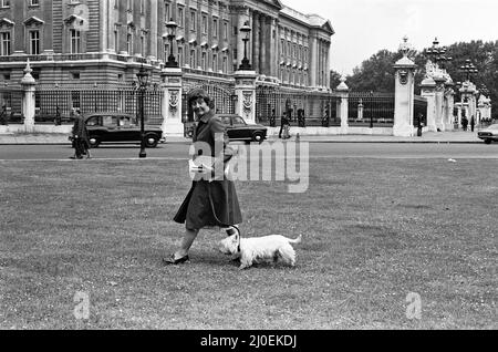 Labour MP Shirley Williams walking her dog. 7th June 1979. Stock Photo