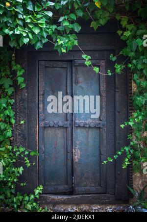 Overgrown Secret Garden Door Stock Photo