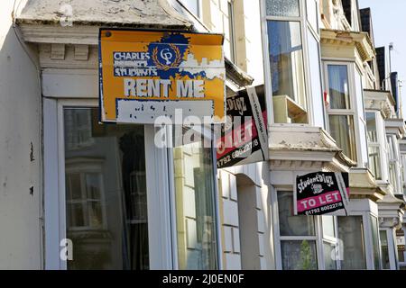 Swansea, Wales, UK, - September 4, 2019: Student letting signs on the front of terraced rental prope Stock Photo