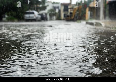 Rain drops falling on city street Stock Photo