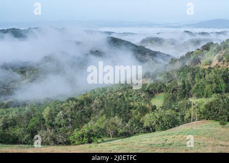 Low clouds covers the hills in Sonoma county, California. Stock Photo