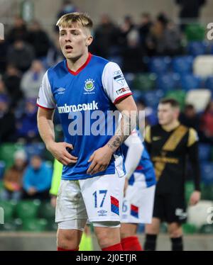 Windsor Park, Belfast, Northern Ireland,  UK. 08 Feb 2022. Danske Bank Premiership – Linfield 2 Larne 1.  Chris McKee Linfield (17) Stock Photo