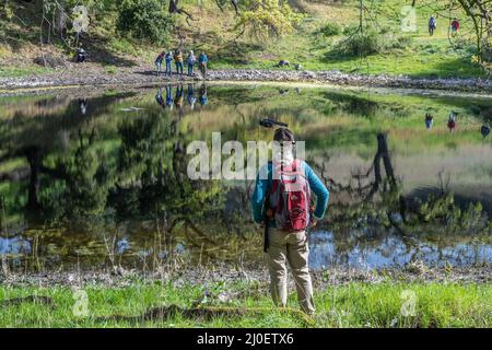 A elderly hiker looks out over a pond with smooth water and reflection in the Northern California countryside on a beautiful spring day. Stock Photo
