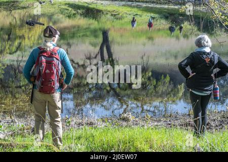 Elderly hikers look out over a pond with smooth water and reflection in the Northern California countryside on a beautiful spring day. Stock Photo