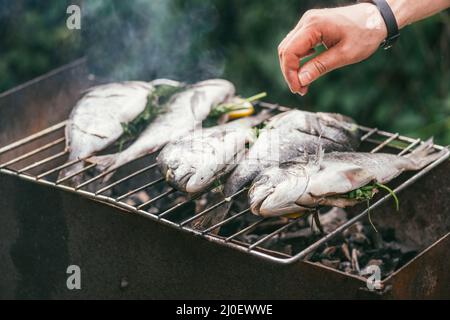 Man's hand salt fish. He is cooking delicious and fresh grilled fish with lemon on the Barbeque grill at the garden in summer. S Stock Photo