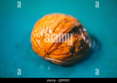 Wet walnuts in the shell lying in the water. Closeup. Selective focus Stock Photo