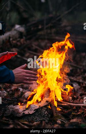 Man warms his hands on fire. Burning wood at evening in forest. Campfire at touristic camp at nature. Barbeque and cooking outdo Stock Photo