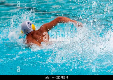 Athletes swimming freestyle on a swimming pool Stock Photo