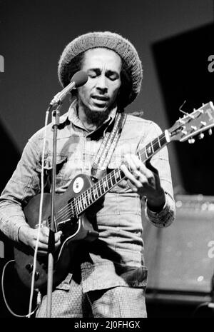 Jamaican singer Bob Marley seen here performing in London. Marley is a quiet and pleasant person, who is devoted to World Peace. The son of a British Army officer who was stationed in Jamaica   June 1978 Stock Photo